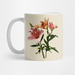 Lilies - Pink Lily Trio Mug